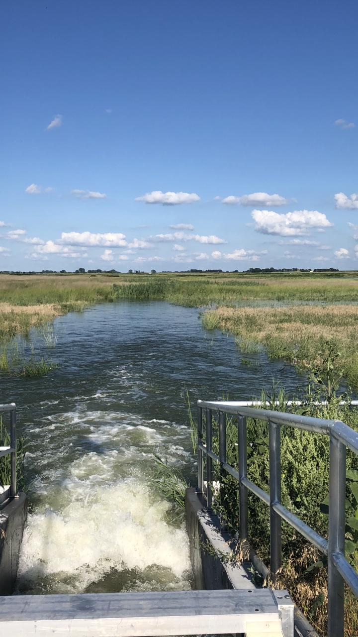 Water released from a metal control gate spreads across a grassy wetland under a blue sky.