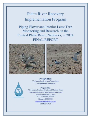 PRRIP 2024 Plover and Tern Monitoring and Research Report FINAL