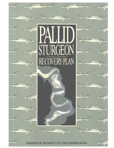 Pallid Sturgeon (Scaphirhynchus albus) Recovery Plan