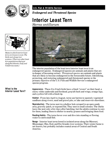 USFWS Interior Least Tern Fact Sheet.pdf