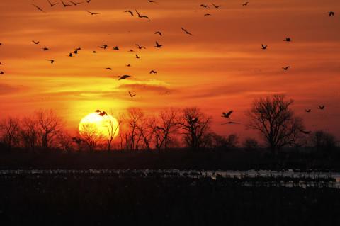 Sunrising over platte river