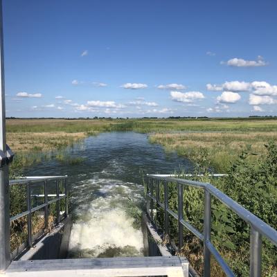 Water released from a metal control gate spreads across a grassy wetland under a blue sky.