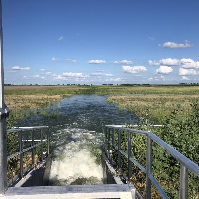 Water released from a metal control gate spreads across a grassy wetland under a blue sky.