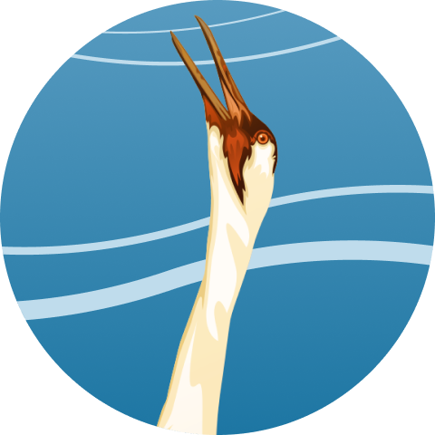 Artwork image of Whopping Crane